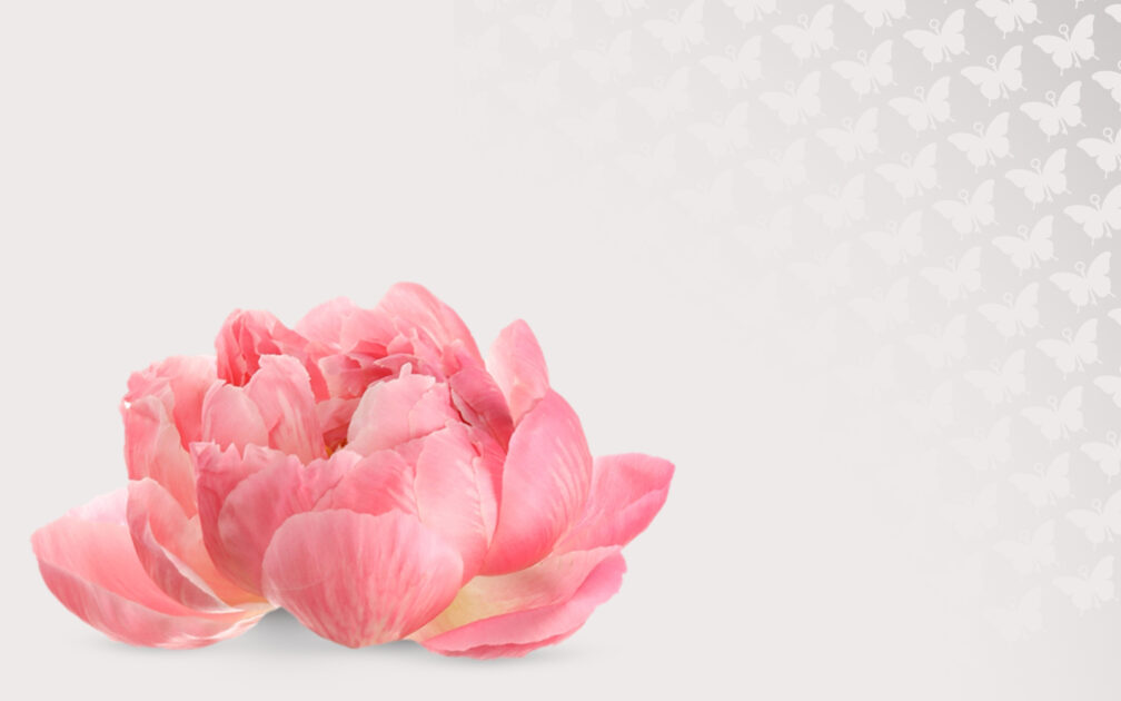 blog- in vista-coaching